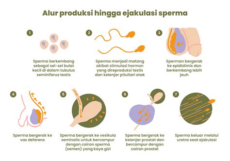 Galeri foto CARA CEPAT MENGELUARKAN SPERMA sebagai terima jadi dan desain modern di di halaman keamanan