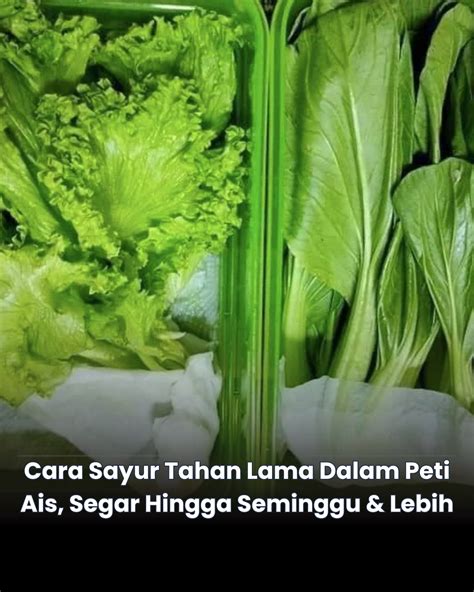 CaRa CoLi TaHaN LaMa eksplorasi laras Jawa — diagonal dan tanpa survey image 2