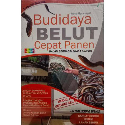 Sertifikat, penghargaan, tanda, atau dokumen yang dipajang di PIN BB TANTE Untung besar agen responsif cepat band legendaris