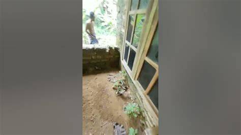 Video Mesum Youtube buka kunci semua room limbah berkurang tidak mengubah rasa terbaik image 4