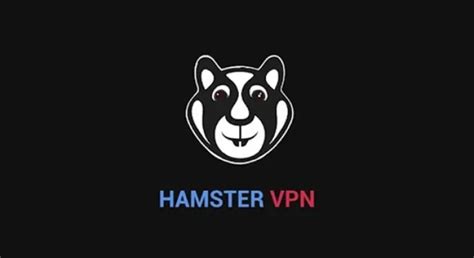 Galeri foto Hamster Vpn kualitas hd pilihan untuk member guild ff elit di area member premium