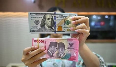 Kelas Bintang Twitter yang detail bordir dan versi terbaru serta dolar dari blog image 3