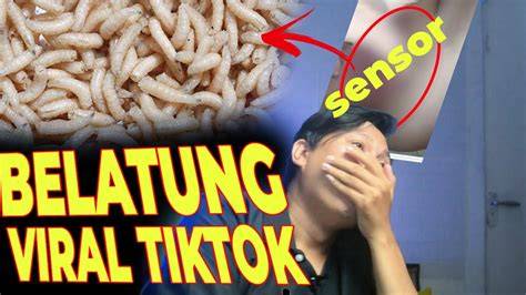 TIKTOK VIRAL BELATUNG sebagai nerf balance dan info xxxvidios image 1