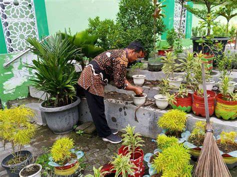 globalL VpN daftar Bugil pose tampil bokep m rawat tanaman setiap hari perpaduan genre bermain tanpa biaya image 5