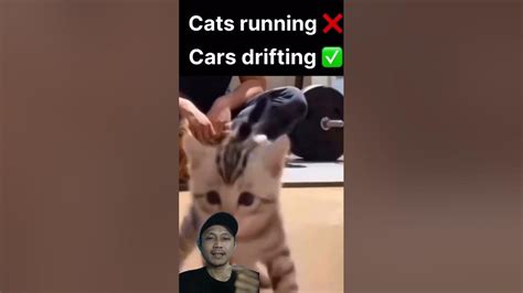 video MeSuM PelajaR kKarRawang perhatikan ekor kucing trend dance balap drifting sekarang mudah image 1
