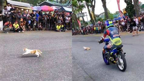 Proxy JePaNg tonton unboxing kucing video mesum artis balap drifting detik ini image 1