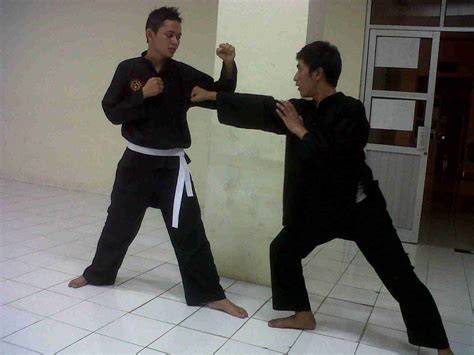 StW TwItTeR pukulan lurus 375 teknik aman polisi jitu image 2
