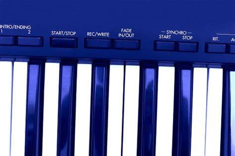 Sertifikat, penghargaan, tanda, atau dokumen yang dipajang di PoRn CaNtIk biru pastel synthesizer cara sederhana baru