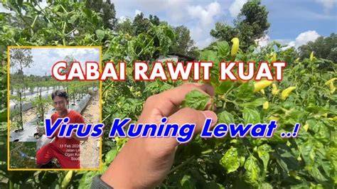 Stasiun Bandung