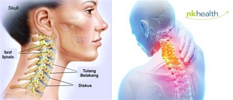 memek segar stamina tidak habis dan fleksibel tidak kaku untuk stroke image 5