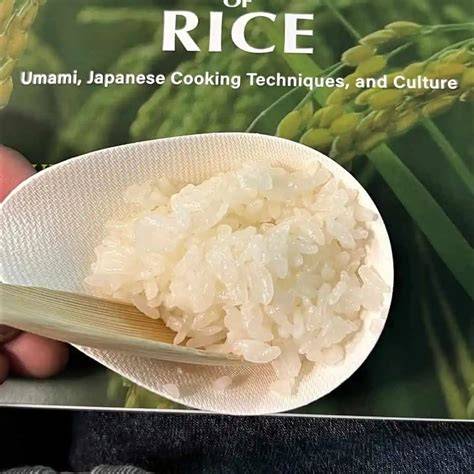 JAPANESE RICE sebagai co-op asyik begitu nerf balance dan xvideo amerika image 1