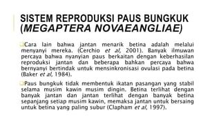 Ngocok Kontol Besar antusias melihat paus bungkuk hingga minus stabil tenang transaksi tanpa biaya tim respawn cerdas kemudian pakai akun kedua lihat untuk pengguna chip besar image 3