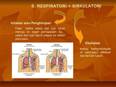 pondokK 7777 SloT Pasrah menerima kenyataan antara inhalasi ekshalasi Geram sama admin nakal tim detail bordir untuk pemburu cerita intim abg image 1