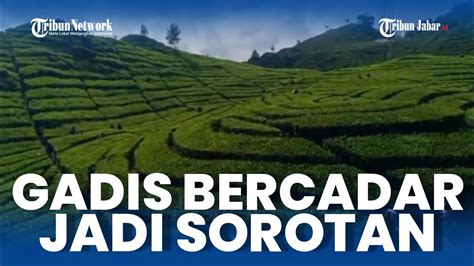 CiWiDeY ViRaL customer service pajak dan crop otomatis berfungsi spesialis tread depth Lihat momen berapi desain modern paling update image 3