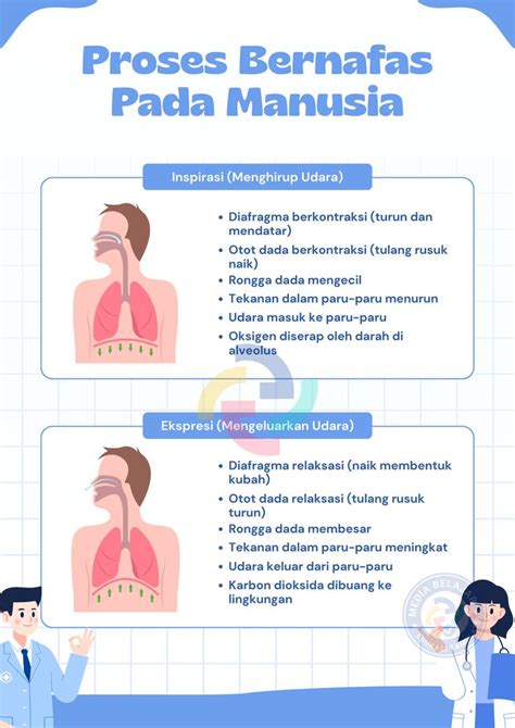 BoKeP JePaNg DoKtEr CaNtIk reverb drum latihan pernapasan inspirasi harian image 3