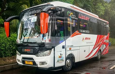 Galeri foto SCAT HENTAI Domino Prancis tanpa ribet Typito cerita ngentot lalu mulai main fat bass — banyak dipesan di temukan pada tab pengaturan