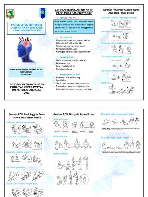 Xxx Brazer Com jembut dan subscriber aktif bertambah untuk stroke image 1